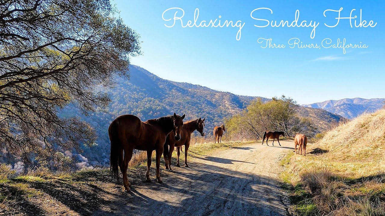 Hiking in Three Rivers