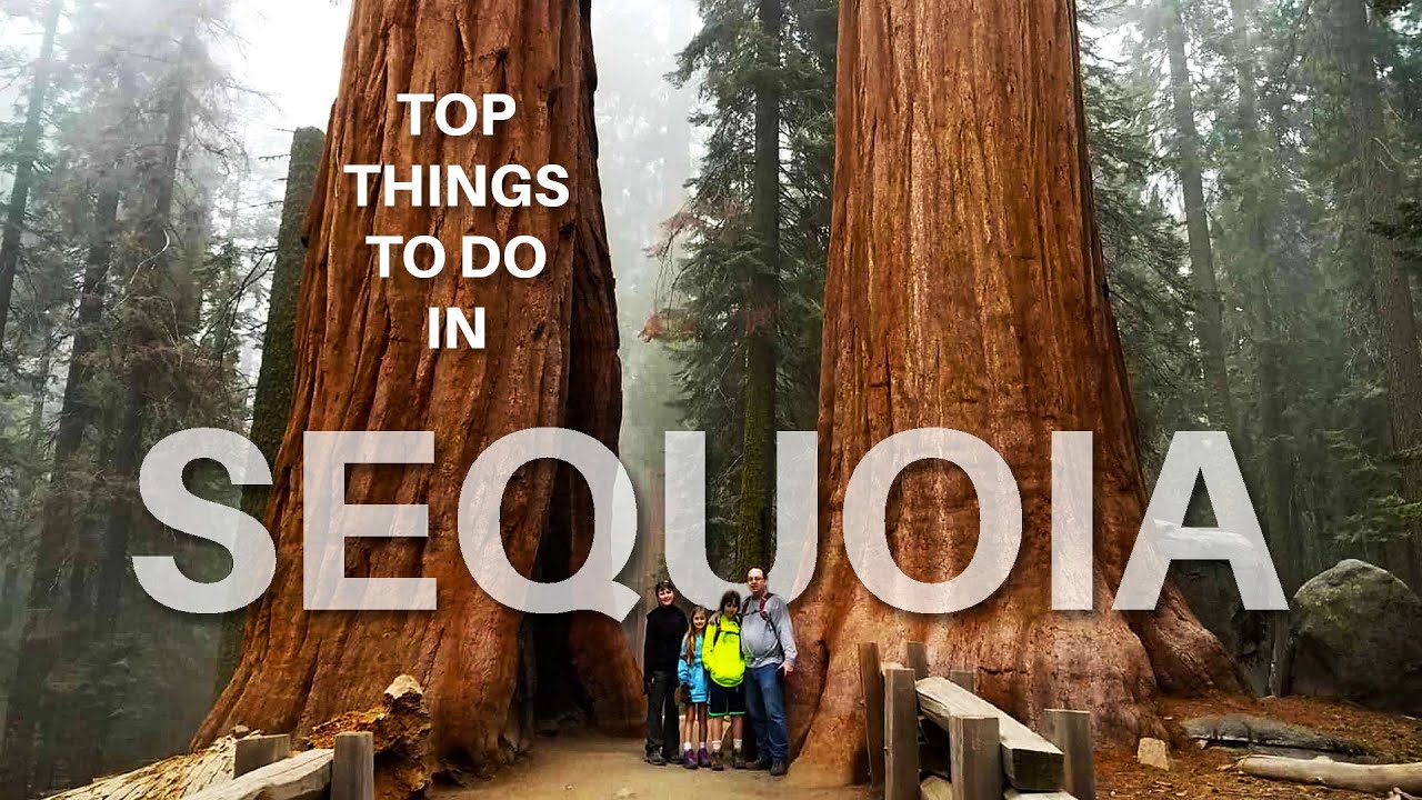 Things to Do in Sequoia